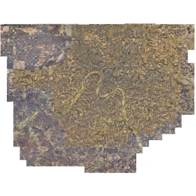 Export Image