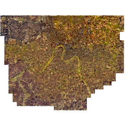 Export Image