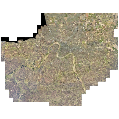 Export Image