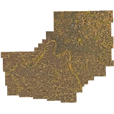 Export Image